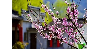 陽春三月，臺(tái)群精機(jī)一大波展會(huì)即將來襲，您準(zhǔn)備好了嗎？