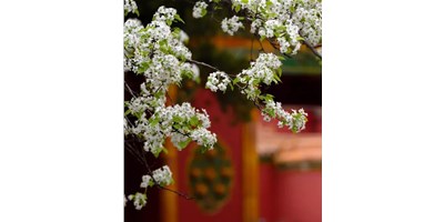 【展會(huì)資訊】臺(tái)群精機(jī)5月展會(huì)一覽，等您來(lái)參觀！